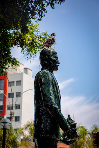 José Balta y Montero