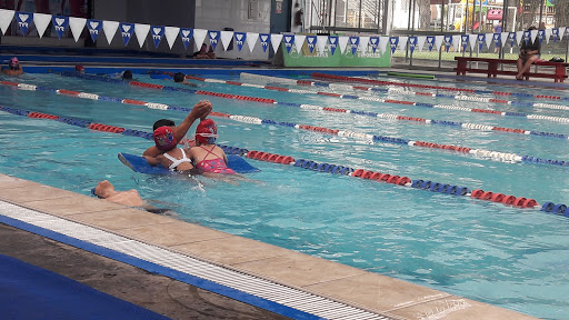 Domenack Natación