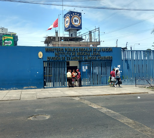 INSTITUTO DE MEDICINA LEGAL Y CIENCIAS FORENSES DICLIFOR - DIVISION CLINICO FORENSE