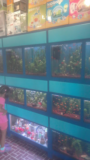 Acuario Real SRL - Lima - Perú