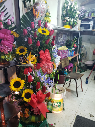 Florería Mendoza