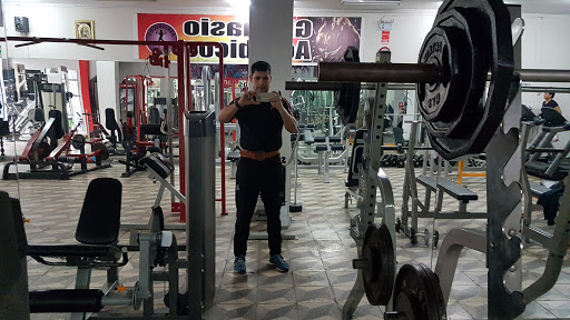 Nautilus Gym