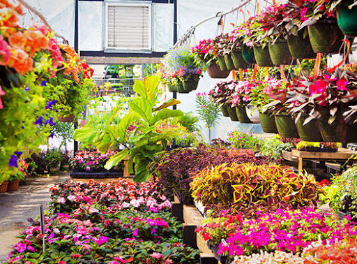 DECOGARDEN PERU