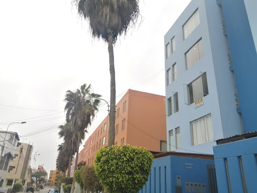 Gamarra Perú