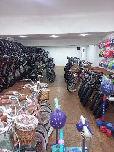 BICYBLEX