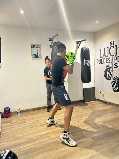 Sala 15 boxing
