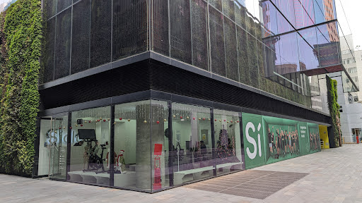 Siclo San Isidro