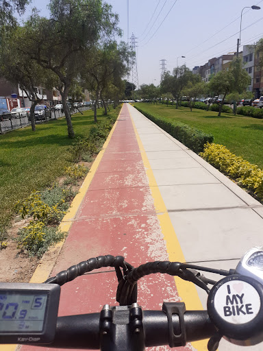 San Borja en Bici - Estación La Biblioteca