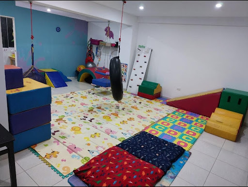 Centro de Terapia y Neurorehabilitación Creciendo Juntos