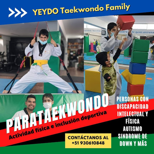 YEYDO TAEKWONDO FAMILY