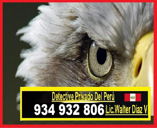 Detective Privado Lima Peru