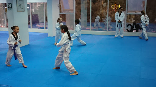 Martial Academy San Borja